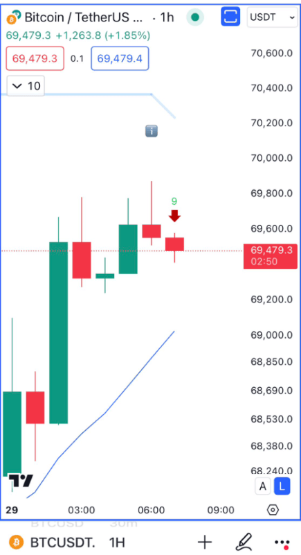 Bitcoin hourly chart analysis. Source: Ali Martinez