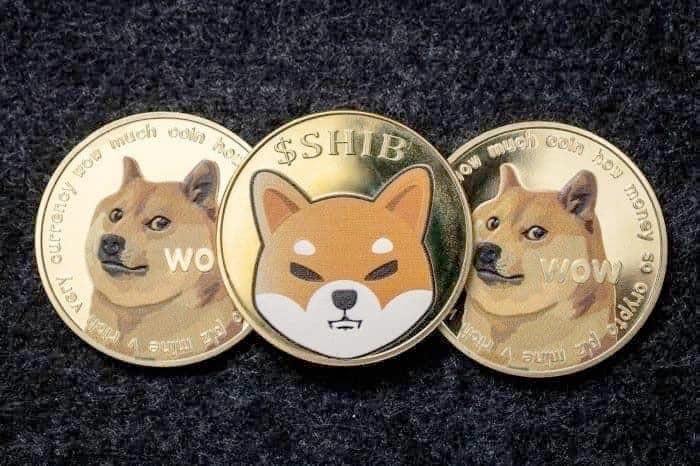 DOGE or SHIB? We asked ChatGPT-4o which crypto is a better buy for 2024