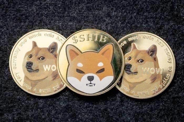 Can Shiba Inu (SHIB) replicate Dogecoin’s (DOGE) 2021 bull rally?