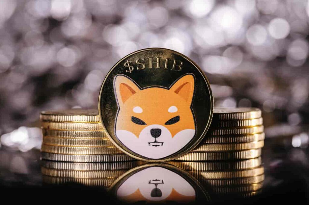 Machine learning algorithm sets SHIB price for September 30, 2024