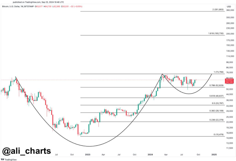 Bitcoin price performance analysis. Source: Ali Martinez