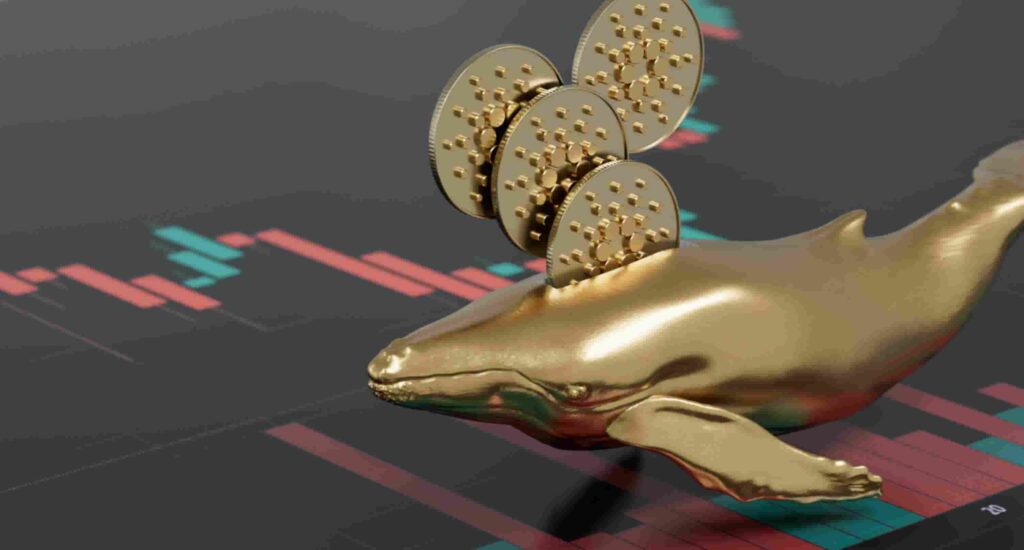 Cardano whales buy over 100 million ADA in 24 hours