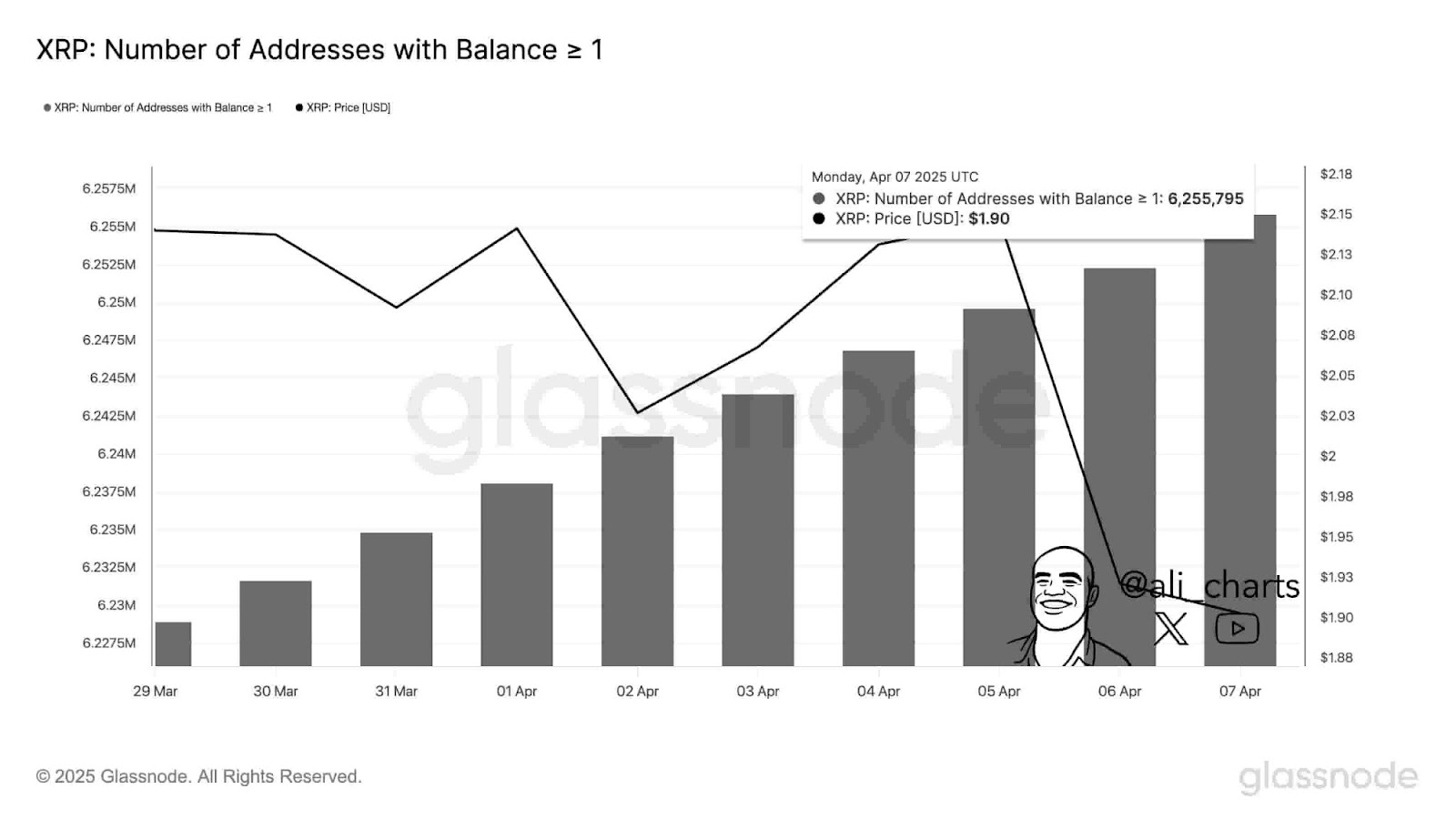 Daily changes in the number of active XRP addresses.